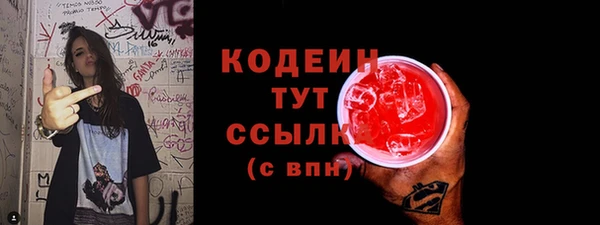 мдпв Богородицк