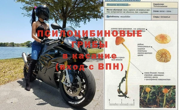 амфетамин Богородск