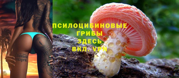мескалин Белокуриха