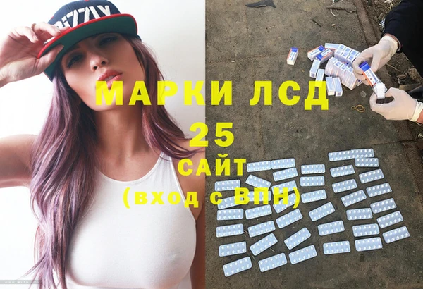 первитин Богданович