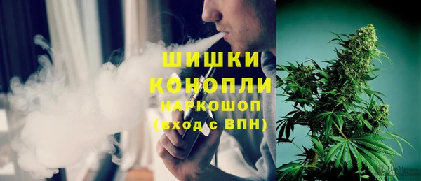 первитин Богданович