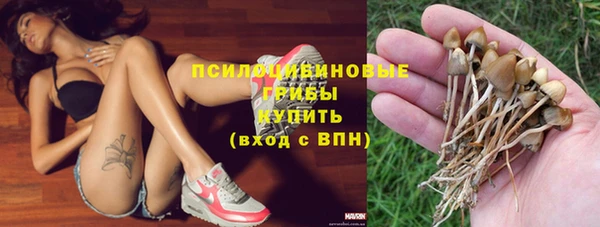 мдпв Богородицк