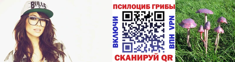 kraken онион  Бузулук  Псилоцибиновые грибы Cubensis  дарк нет телеграм  хочу  